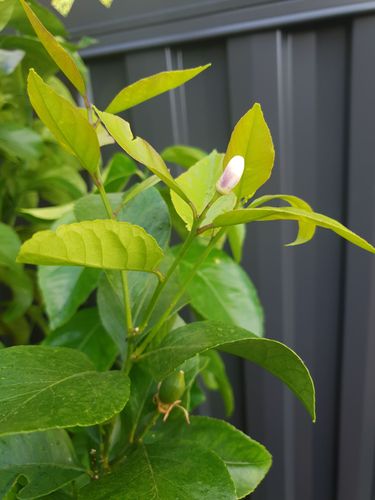 20201205_183501.jpg 20201205_183501.jpg