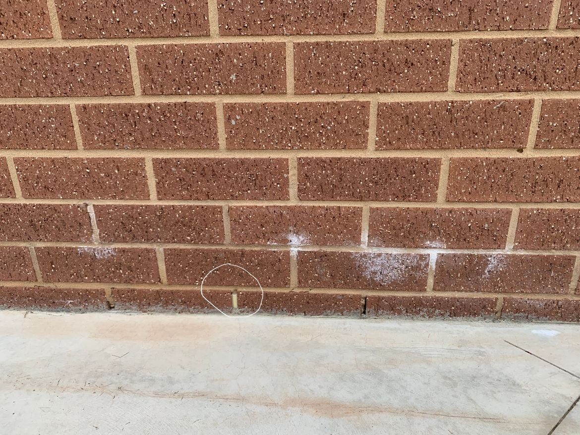 IMG_8050.JPG IMG_8050.JPG