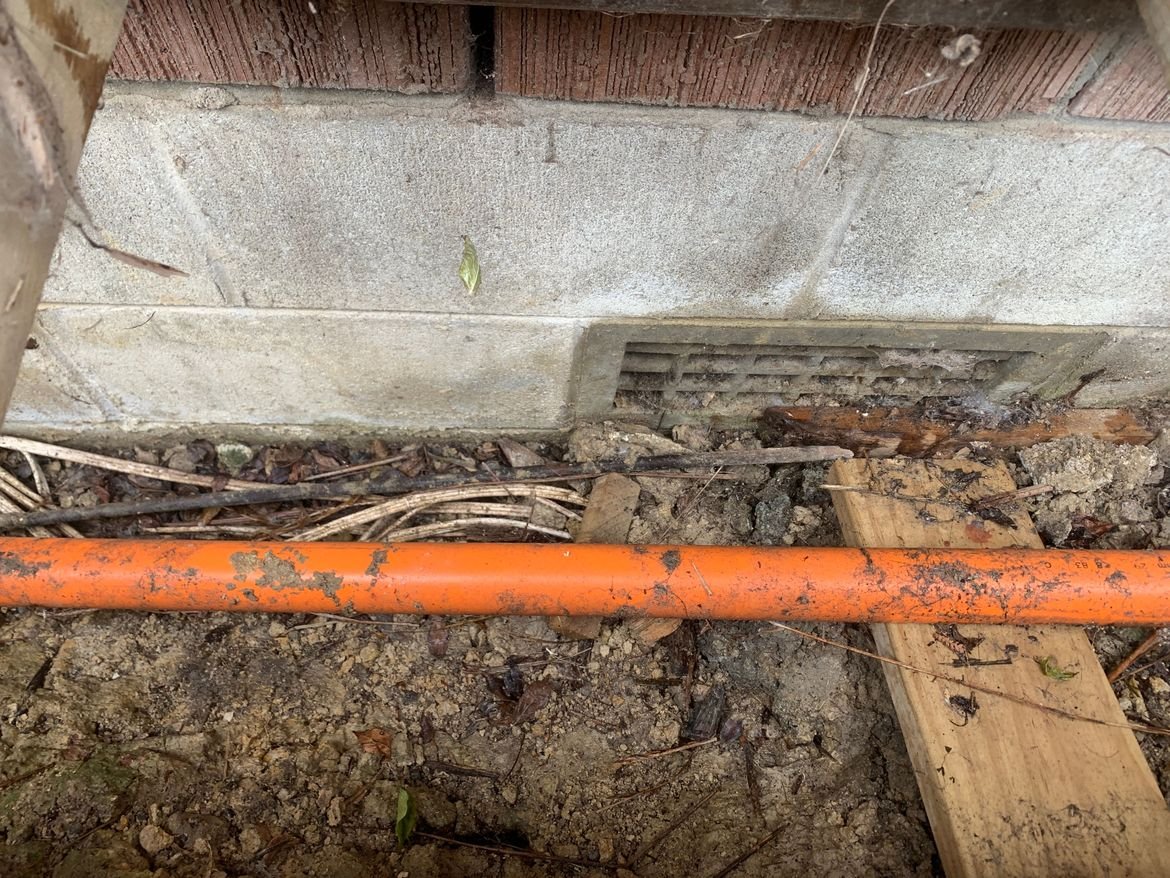 IMG_7362.JPG IMG_7362.JPG