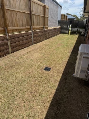 IMG_4589.jpeg IMG_4589.jpeg