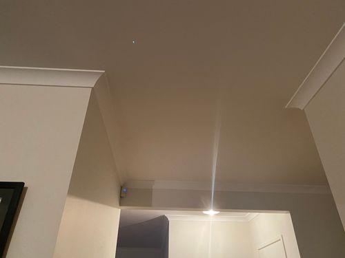 2D1CDEBC-EBCA-43EF-A77E-E767D965D518.jpeg 2D1CDEBC-EBCA-43EF-A77E-E767D965D518.jpeg