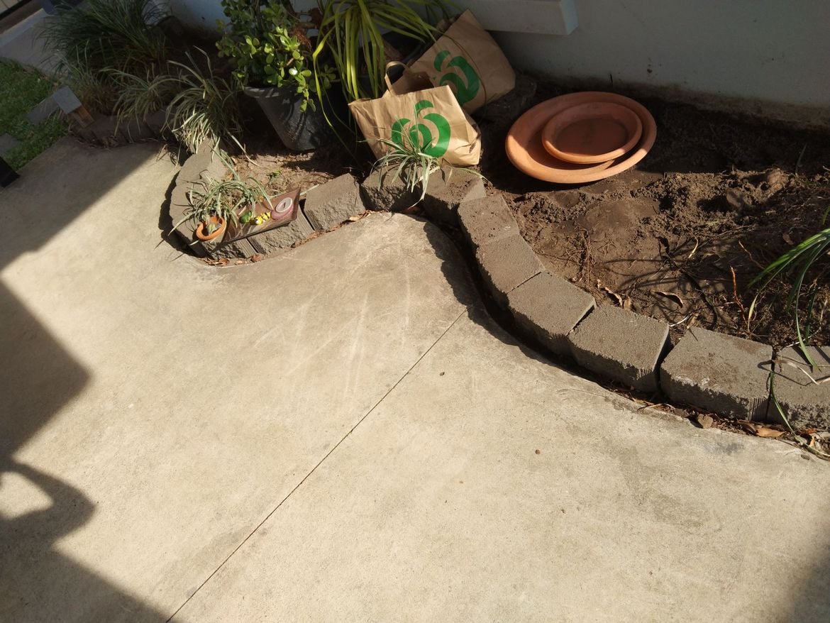 IMG_20241110_155525.jpg IMG_20241110_155525.jpg