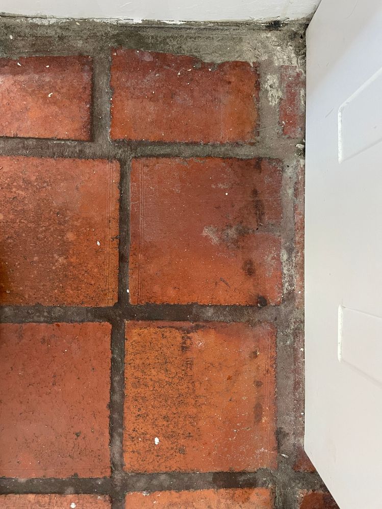 IMG_5121.JPG IMG_5121.JPG