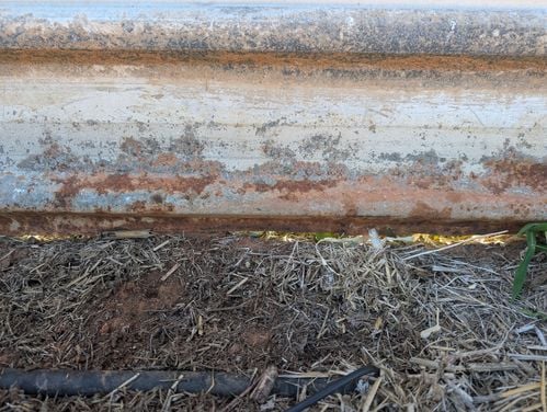 PXL_20240625_010525480.jpg PXL_20240625_010525480.jpg