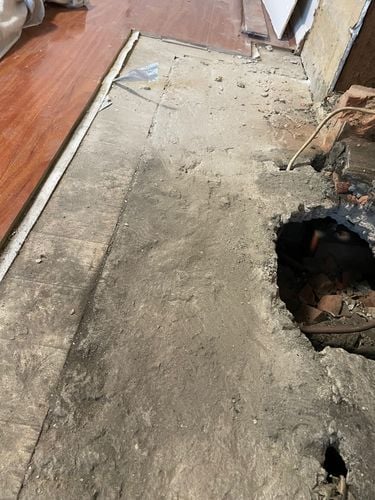 IMG_0908.jpeg IMG_0908.jpeg