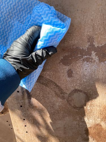 IMG_3475.jpeg IMG_3475.jpeg