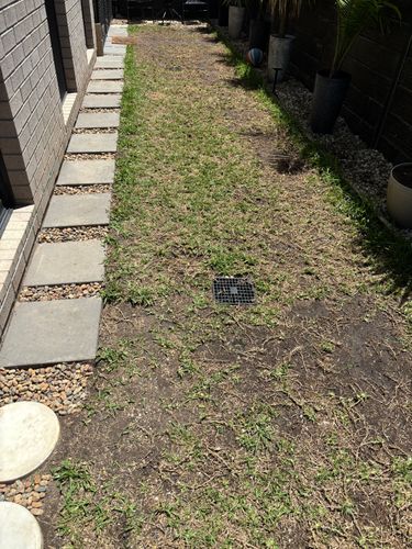 IMG_3103.jpeg IMG_3103.jpeg