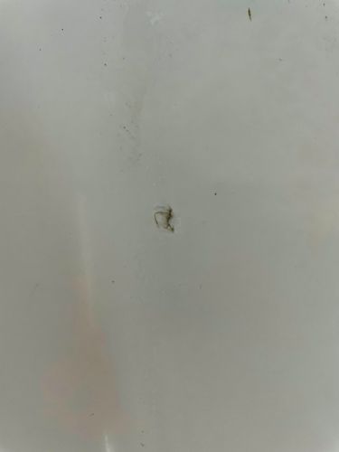 98CA52B3-43D1-42DB-8E33-7D47E4B561A7.jpeg 98CA52B3-43D1-42DB-8E33-7D47E4B561A7.jpeg