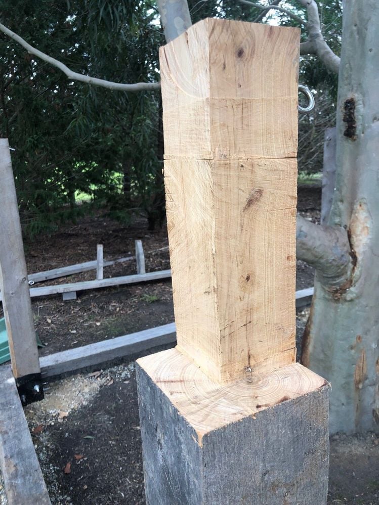 Wood slice.jpg Wood slice.jpg