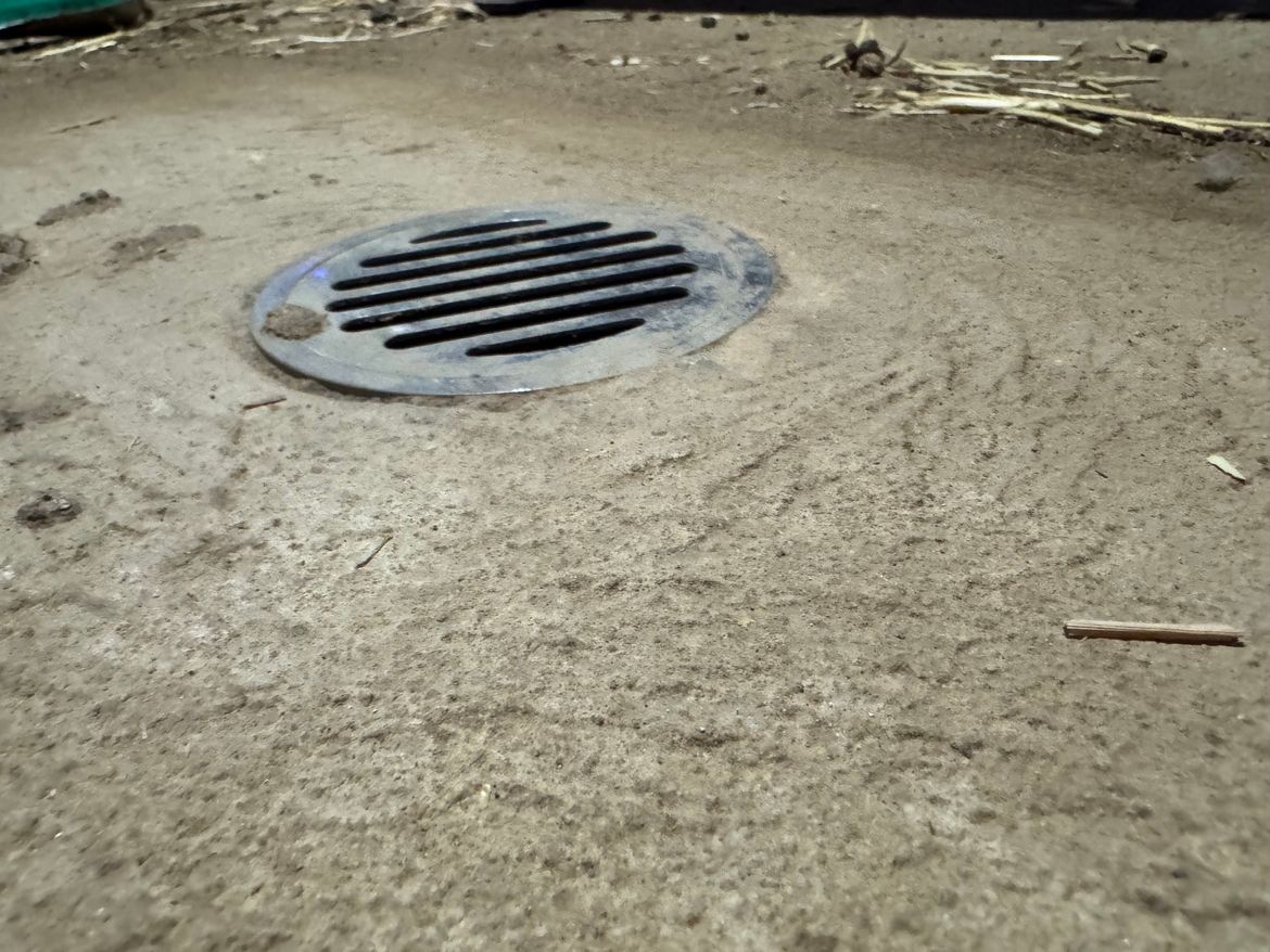 IMG_2446.jpeg IMG_2446.jpeg