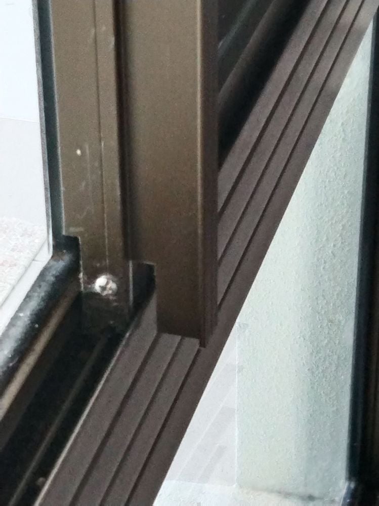 IMG_20241223_054014.jpg IMG_20241223_054014.jpg