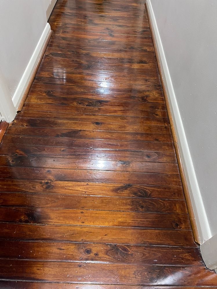 IMG_4146.JPG IMG_4146.JPG