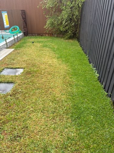 IMG_3336.jpeg IMG_3336.jpeg