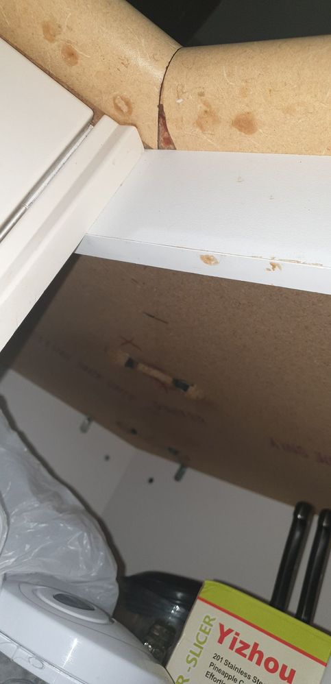 292743078_568947174811184_5810073878669079430_n.jpg 292743078_568947174811184_5810073878669079430_n.jpg