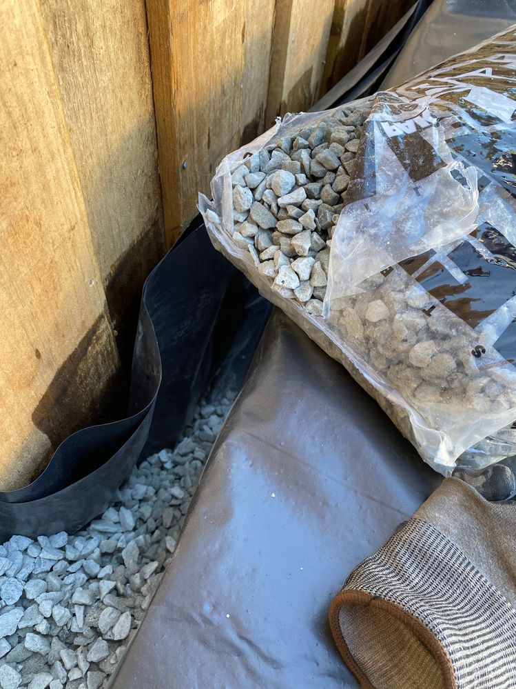 IMG_3881.jpeg IMG_3881.jpeg