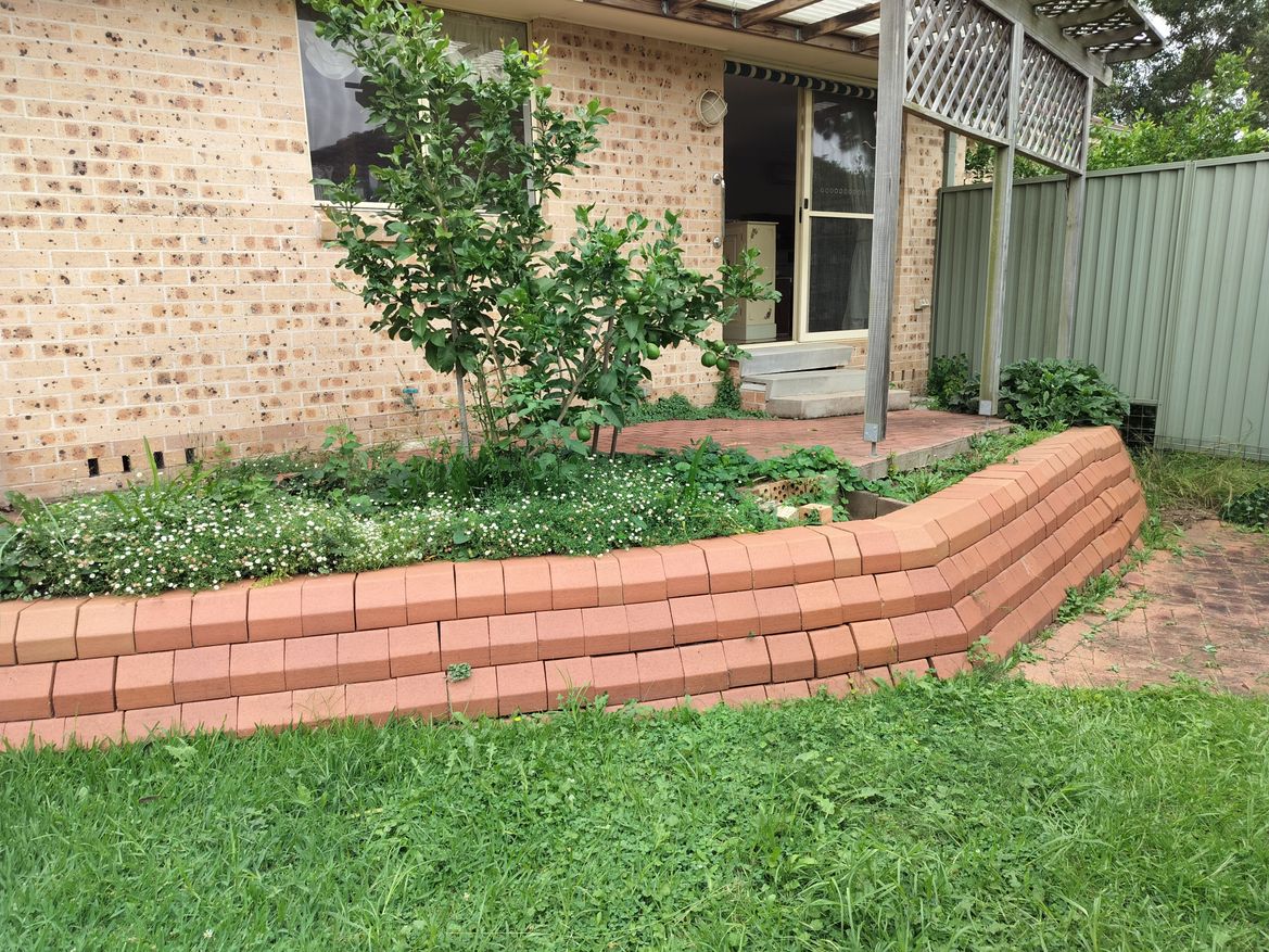 IMG20240227164104.jpg IMG20240227164104.jpg