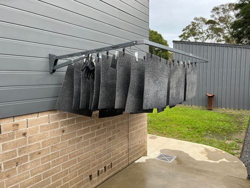 IMG_9825.jpeg IMG_9825.jpeg