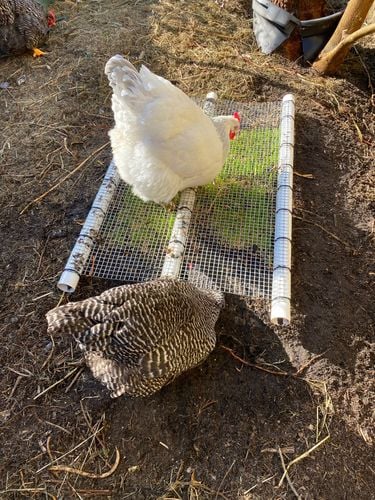 IMG_1059.jpeg IMG_1059.jpeg