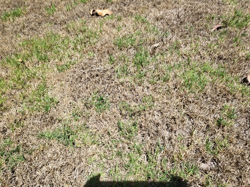 20250115_141431.jpg 20250115_141431.jpg