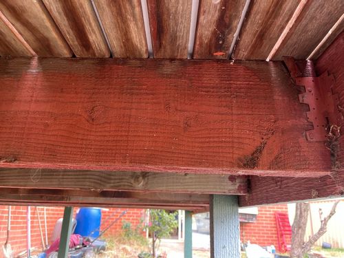 IMG_0455 Large.jpeg IMG_0455 Large.jpeg