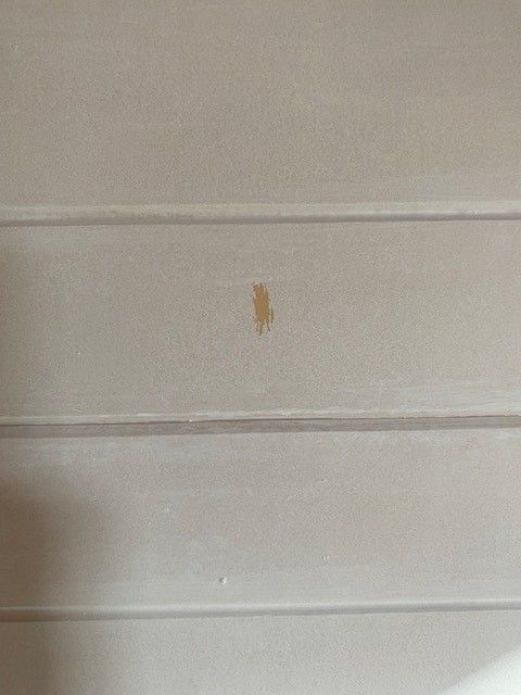 painted wall 2.jpg painted wall 2.jpg