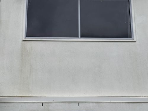 IMG_8784.jpg IMG_8784.jpg