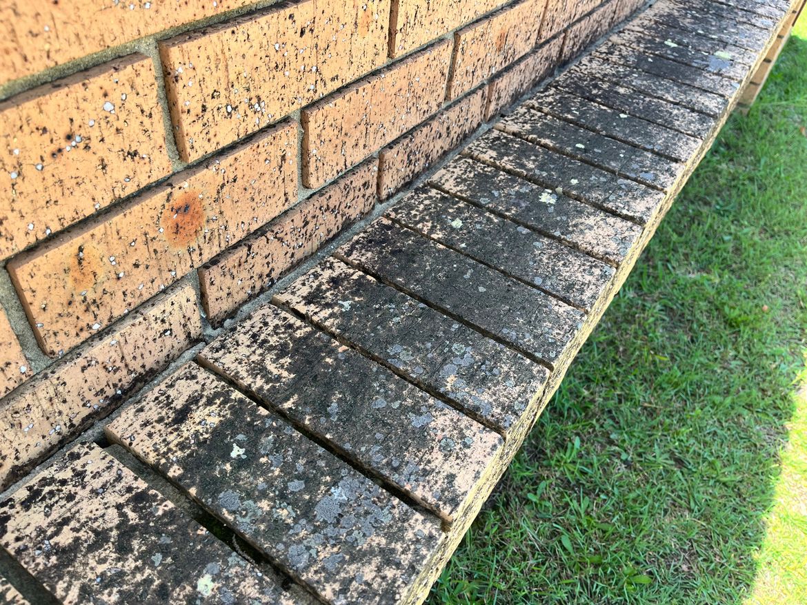 IMG_8379.jpg IMG_8379.jpg