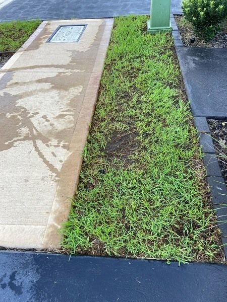 modal_image-652e0e712daf44b4dc838a96d1981217.jpg modal_image-652e0e712daf44b4dc838a96d1981217.jpg