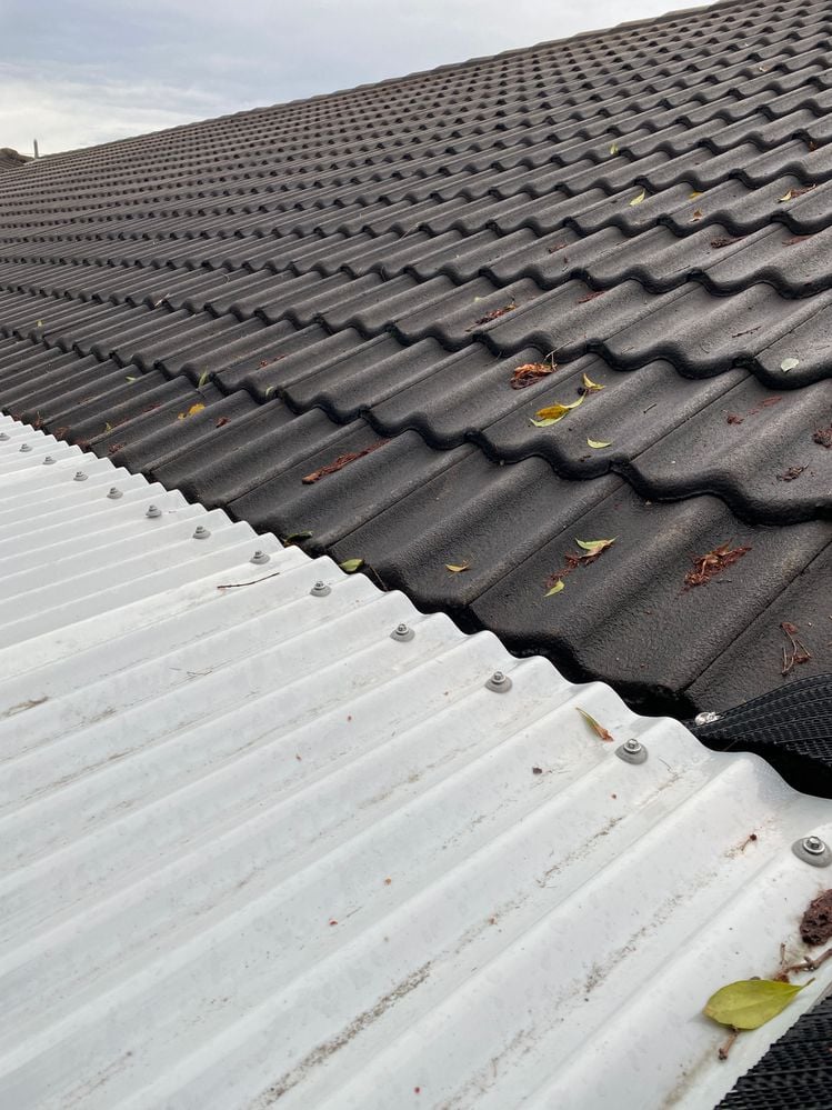 IMG_7557.JPG IMG_7557.JPG