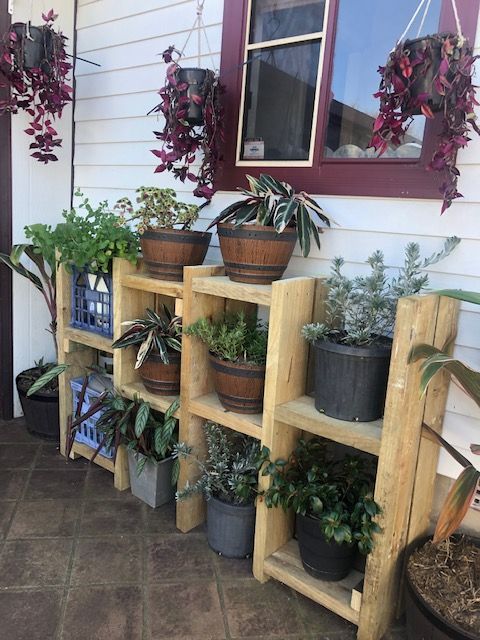 IMG_4586.jpg IMG_4586.jpg