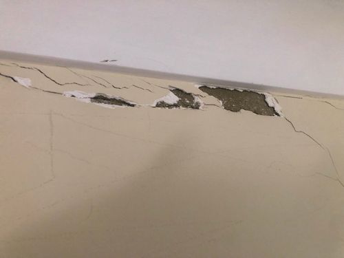 IMG_3702.jpeg IMG_3702.jpeg