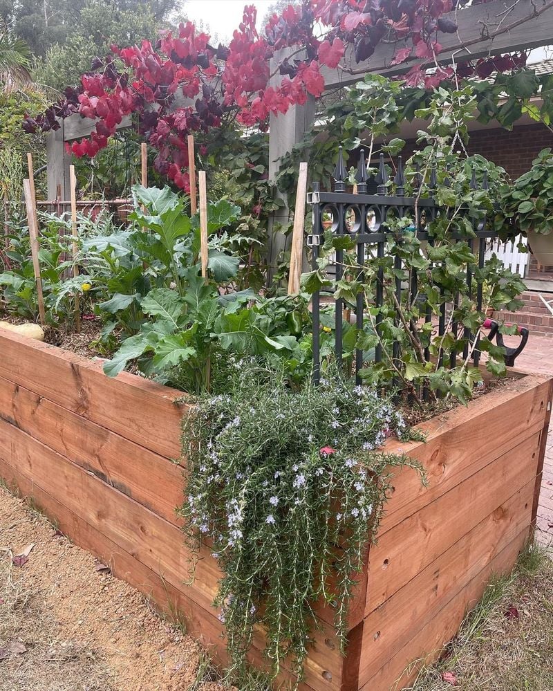 78A2FE74-EA15-4F2F-BC60-D993B5374AE8.jpeg 78A2FE74-EA15-4F2F-BC60-D993B5374AE8.jpeg