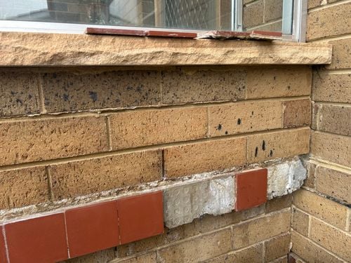 IMG_2373.jpeg IMG_2373.jpeg