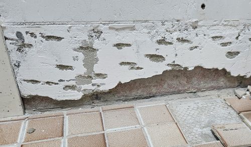 20241106_131241-croped.jpg 20241106_131241-croped.jpg