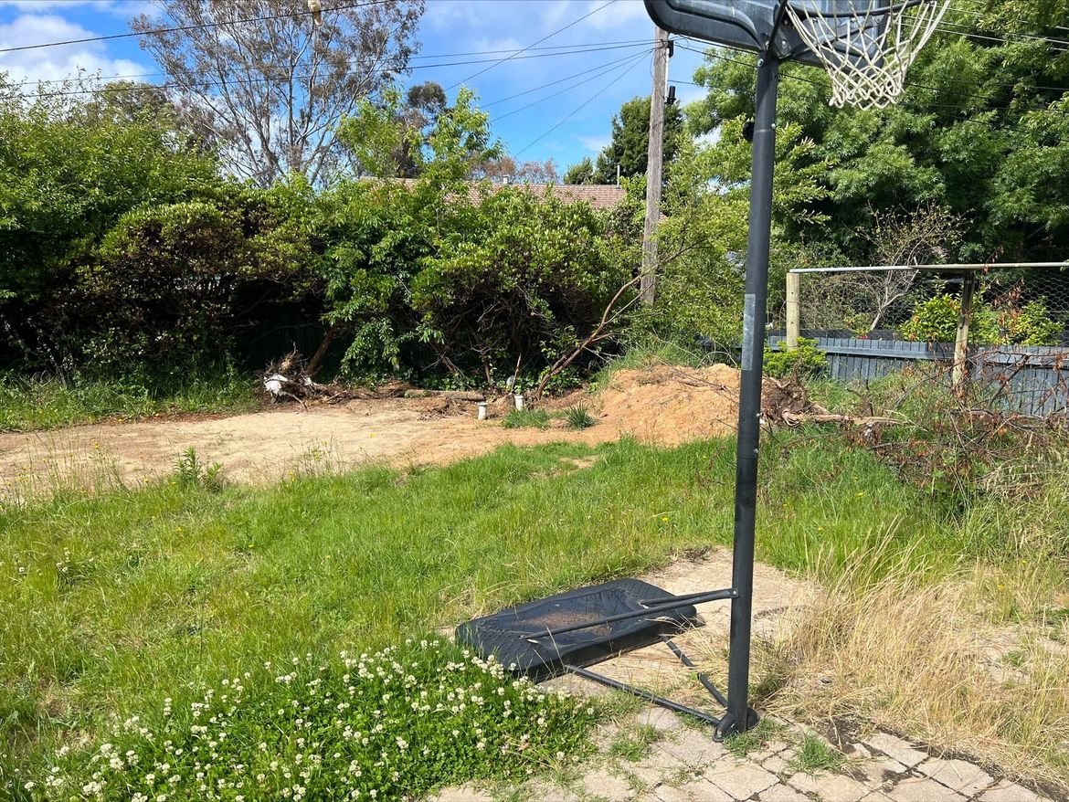 Image.jpeg Image.jpeg