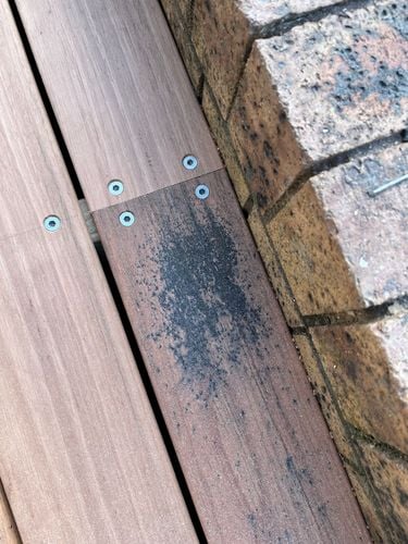 IMG_20220502_151845.jpg IMG_20220502_151845.jpg