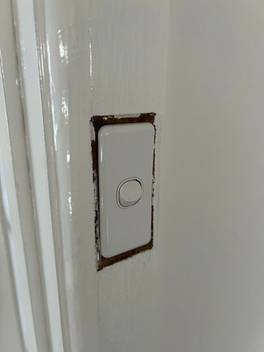 IMG_2735.jpeg IMG_2735.jpeg