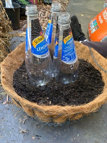 5072F66E-5D68-40DD-8F88-7F00352C1169.jpeg 5072F66E-5D68-40DD-8F88-7F00352C1169.jpeg