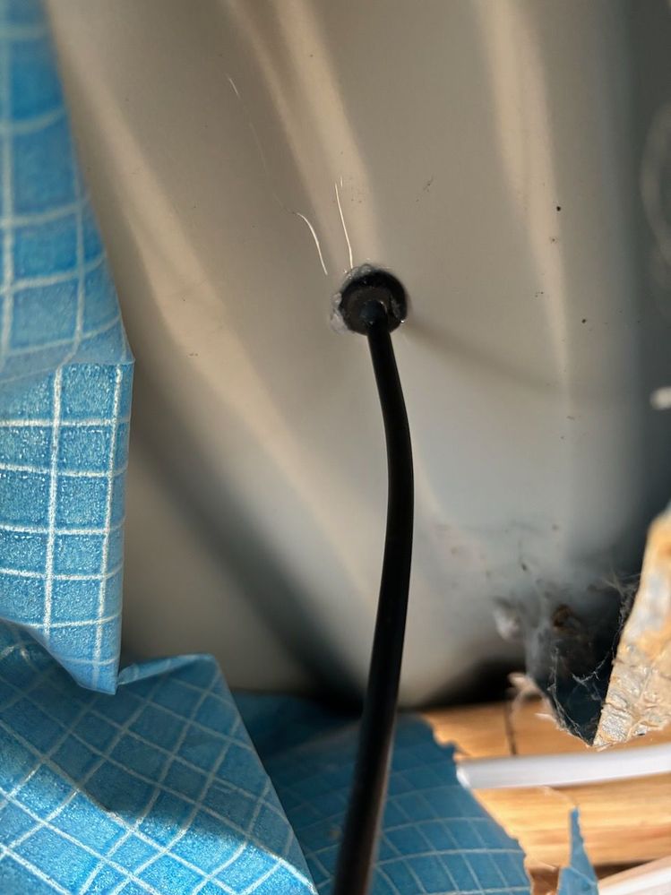 IMG_8261.jpeg IMG_8261.jpeg