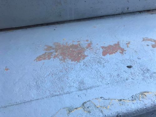 49 16-09-2023.jpg 49 16-09-2023.jpg