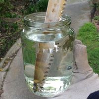 1.1 Make sure all blades are sharp and clean.jpg 1.1 Make sure all blades are sharp and clean.jpg