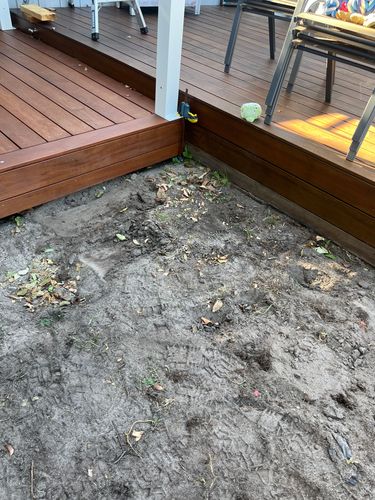 IMG_0589.jpeg IMG_0589.jpeg