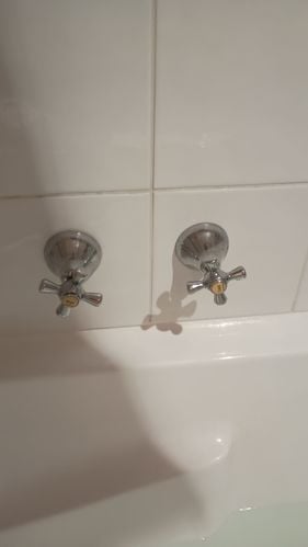 1000013875.jpg 1000013875.jpg