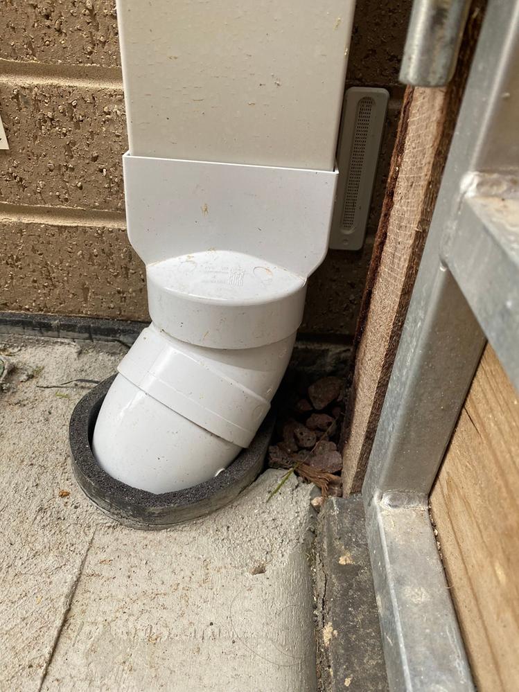 IMG_0339.JPEG IMG_0339.JPEG