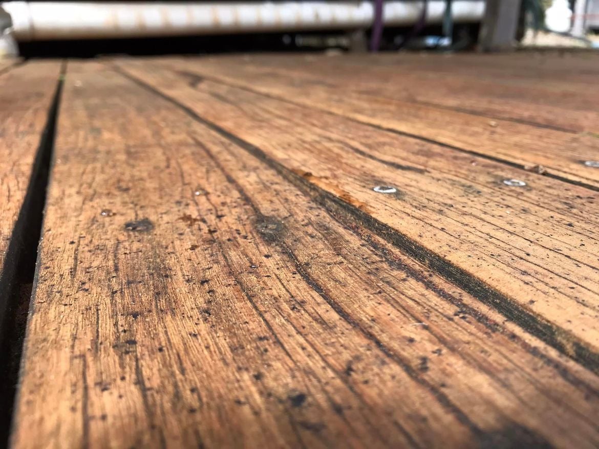 02 02-12-2023.jpg 02 02-12-2023.jpg