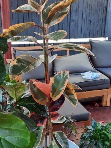 20201030_171127.jpg 20201030_171127.jpg