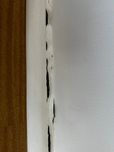 IMG_0098.jpeg IMG_0098.jpeg