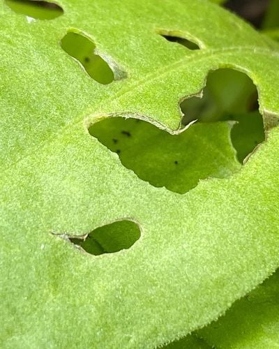 D0DDC833-6339-4E46-9A03-FE5951590CE6.jpeg D0DDC833-6339-4E46-9A03-FE5951590CE6.jpeg