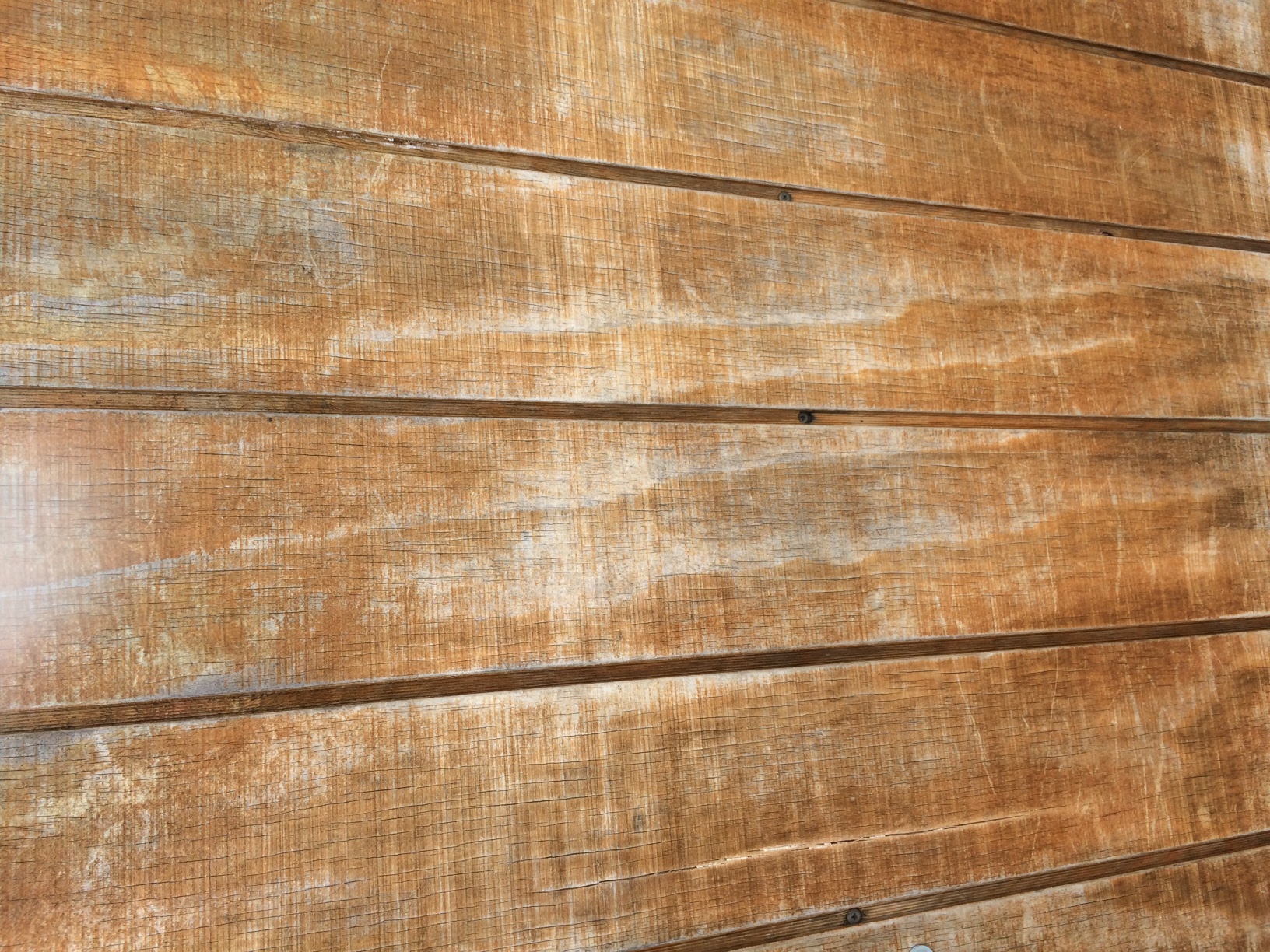 Timber.JPG Timber.JPG