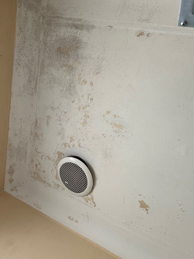 ceiling.jpg ceiling.jpg